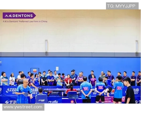 杭州乒乓球队在钻石联赛中的蜕变与发展之路探秘