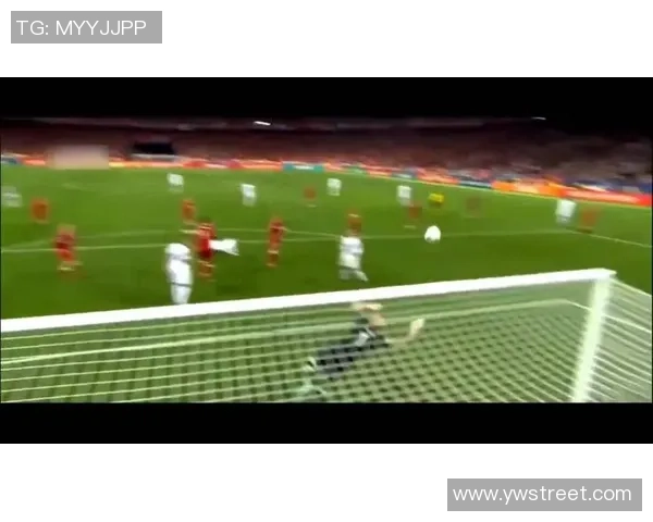 法国足球明星风采展现球场内外的魅力与荣耀